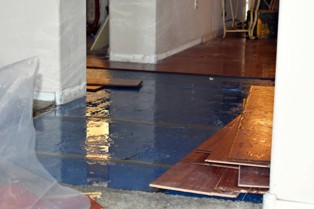 Professional Burst Pipe Cleanup technician working in Newbury, NH