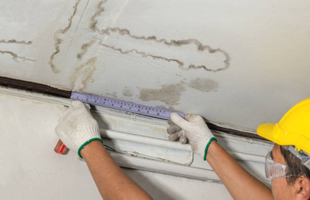Reliable Burst Pipe Cleanup contractor in Newbury, NH by Local Water Damage Repair